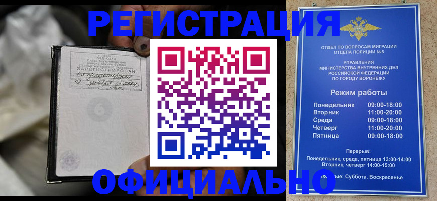 где прописаться в Кингисеппе